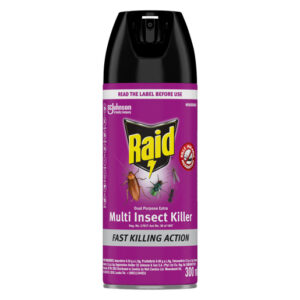 Raid Dual Purpose Insect Killer 300ml