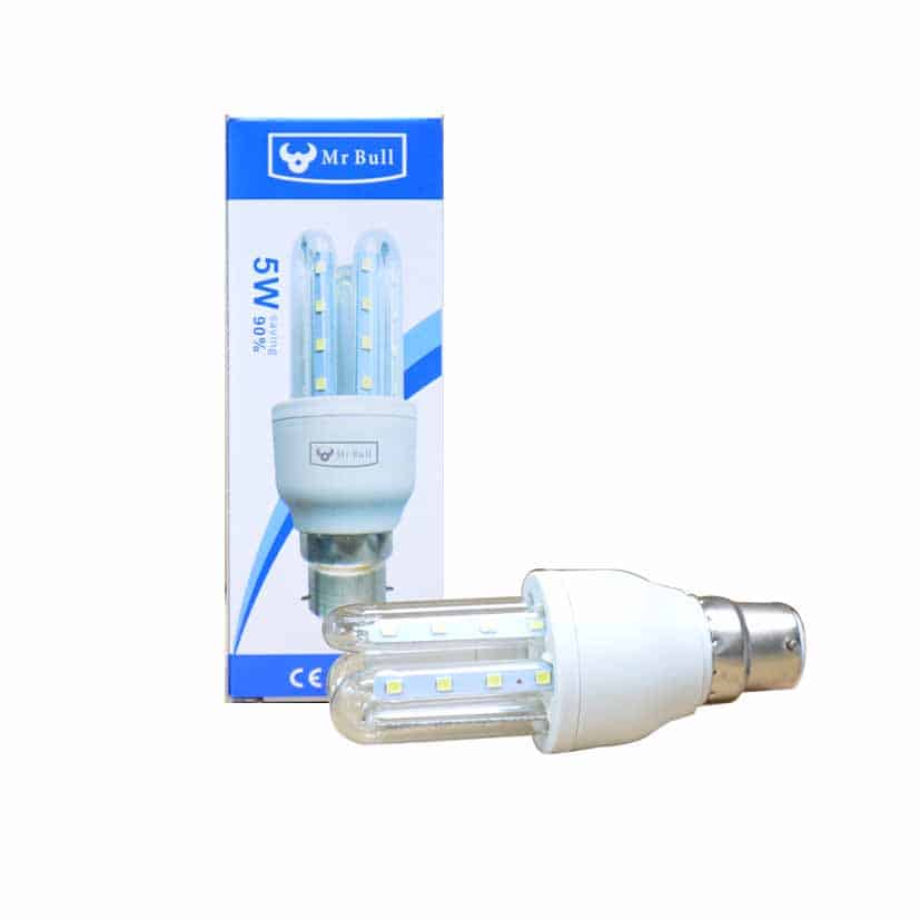 LED Globe Light Bulb