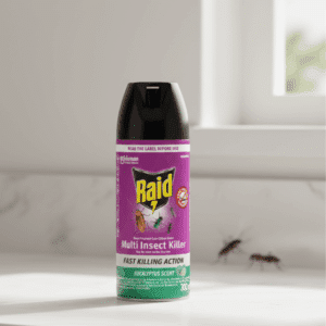 Raid Dual Power Eucalyptus Insect Killer Spray 300ml
