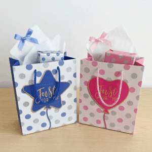 Gift Bag Small 18x23x10cm