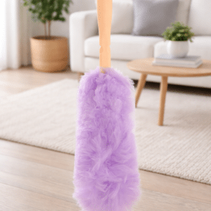 Feather Duster