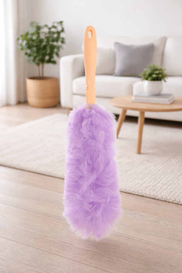Feather Duster - A5 Cash and Carry