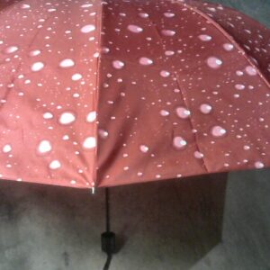 Dotted Umbrella L60 - A5 Cash and Carry