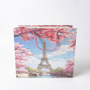 Gift Bag Medium 26x32x10cm